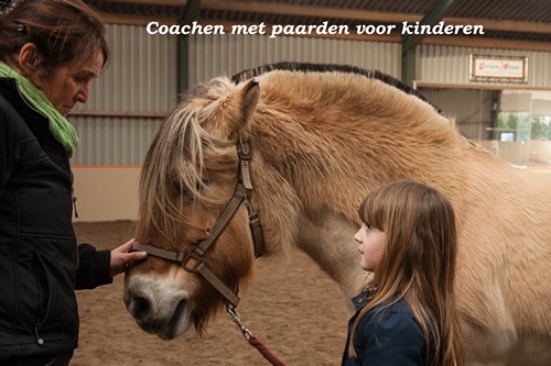 coachen-paarden-kinderen