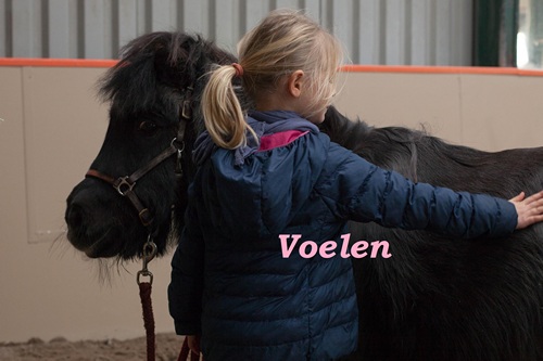 leren-voelen