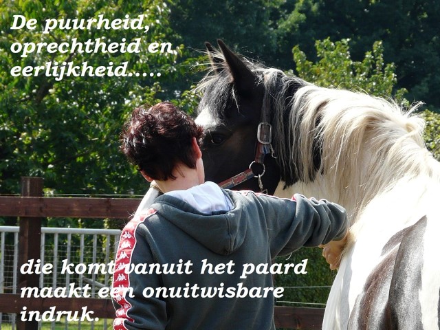 onuitwisbare-indruk